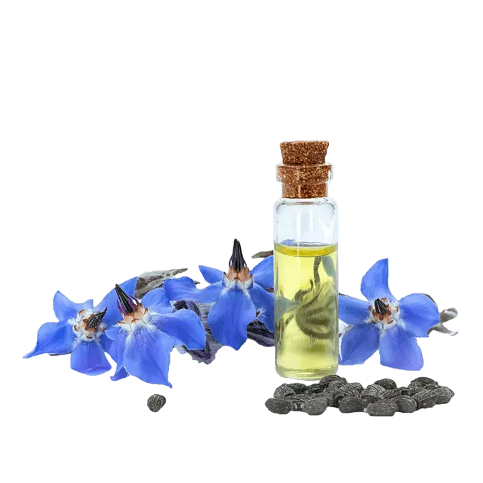 Borage yağı (Hodan) Borage yağı (Hodan)