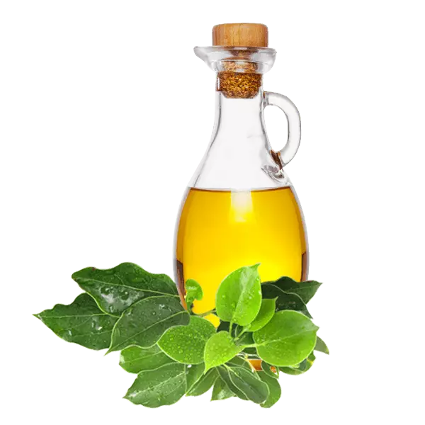 Kafur yağı Kafur yağı