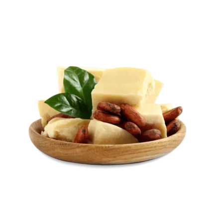 Kakao yağı deoderize