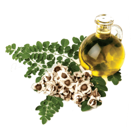 Moringa yağı