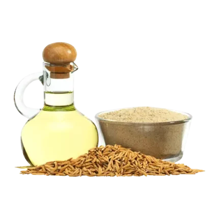 Pirinç kepeği yağı