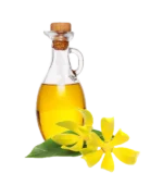 Ylang ylang yağı
